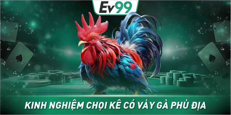 Kinh nghiệm chọi kê có vảy gà phủ địa